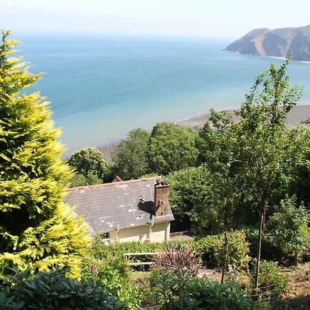 North Walk House Bed & Breakfast Lynton Bagian luar foto