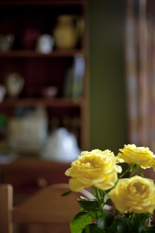 North Walk House Bed & Breakfast Lynton Bagian luar foto